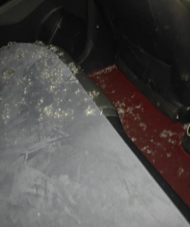 乘客坐车时羽绒服突然炸了 车内瞬间下起“羽绒雪”